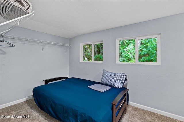 bedroom featuring carpet flooring