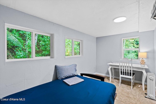 bedroom with light carpet