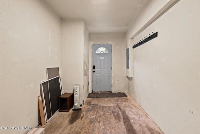 foyer with hardwood / wood-style flooring