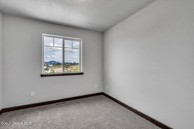 2711 E Cinder Ave, Post Falls, ID 83854 - carpeted spare room featuring baseboards and a textured ceiling