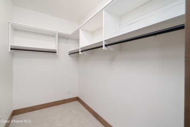 11996 N Rocking R, Hayden, ID 83835 - walk in closet featuring light colored carpet