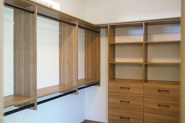 11996 N Rocking R, Hayden, ID 83835 - view of walk in closet