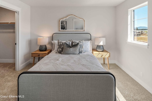 bedroom with a closet, carpet flooring, and a spacious closet