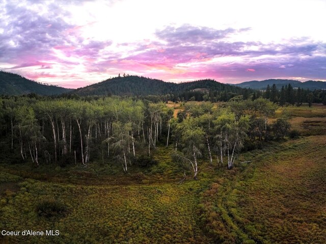 NNA E Dudley Rd, Cataldo, ID 83810 - photo 5