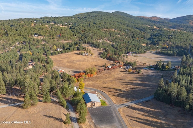 19459 W Riverview Dr, Post Falls, ID 83854 - photo 49