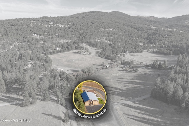 19459 W Riverview Dr, Post Falls, ID 83854 - photo 50