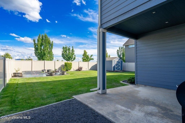 view of yard with a patio and a storage unit