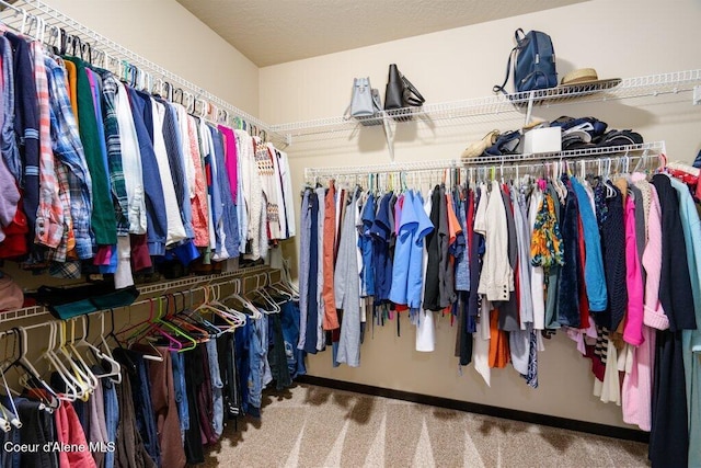 walk in closet featuring carpet flooring