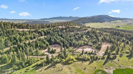 LOT3 Lone Moose Dr, Plummer ID, 83851 land for sale