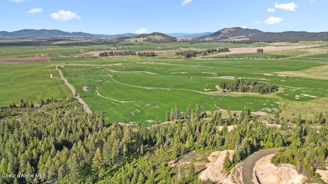 LOT3 Lone Moose Dr, Plummer, ID 83851