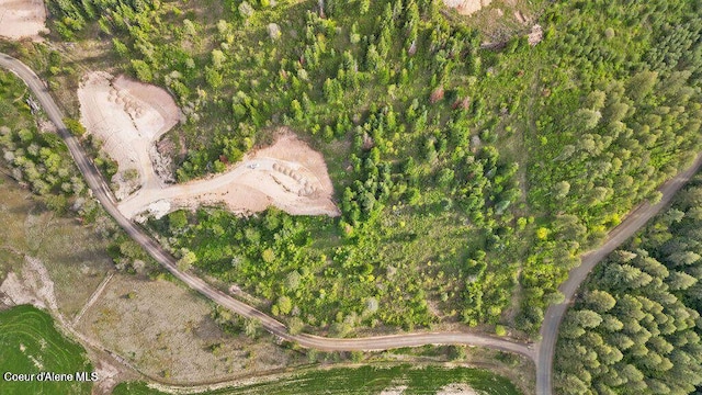 LOT3 Lone Moose Dr, Plummer, ID 83851