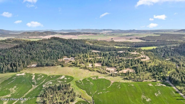 LOT3 Lone Moose Dr, Plummer, ID 83851