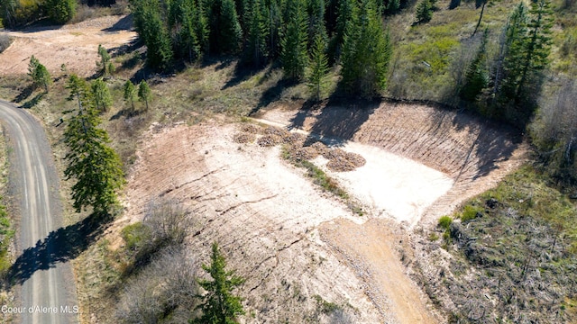 LOT3 Lone Moose Dr, Plummer, ID 83851