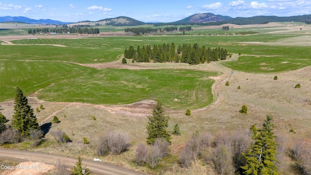 LOT3 Lone Moose Dr, Plummer, ID 83851