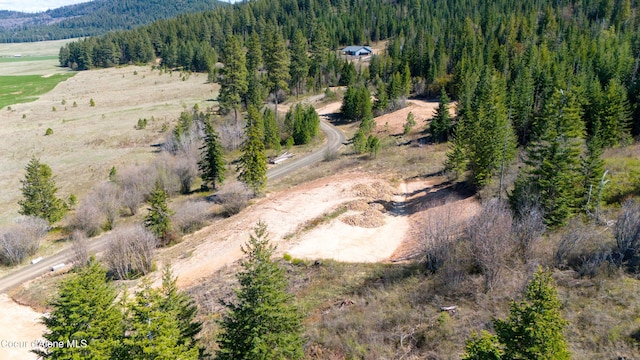 LOT3 Lone Moose Dr, Plummer, ID 83851