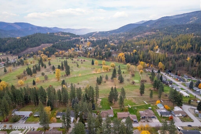 drone / aerial view with a mountain view and a forest view