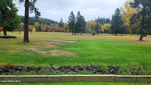 view of home's community with a yard
