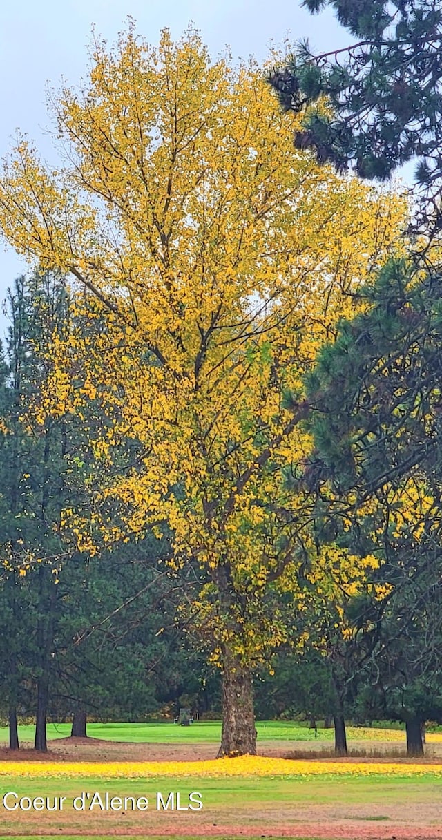 view of home's community