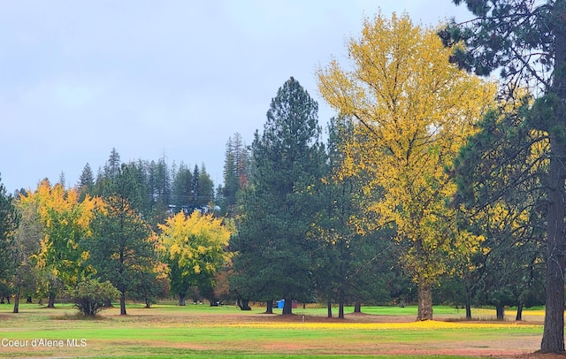 surrounding community featuring a yard