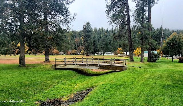 view of community featuring a lawn