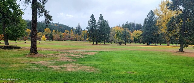 view of property's community featuring a yard