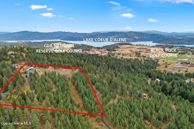 8014 W Forever View Dr, Coeur Dalene, ID 83814 - photo 5