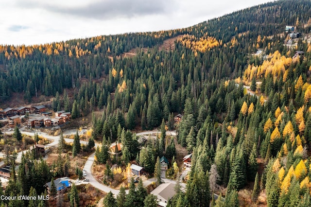 296 Ullr Dr, Sandpoint, ID 83864 - aerial view with a mountain view and a forest view