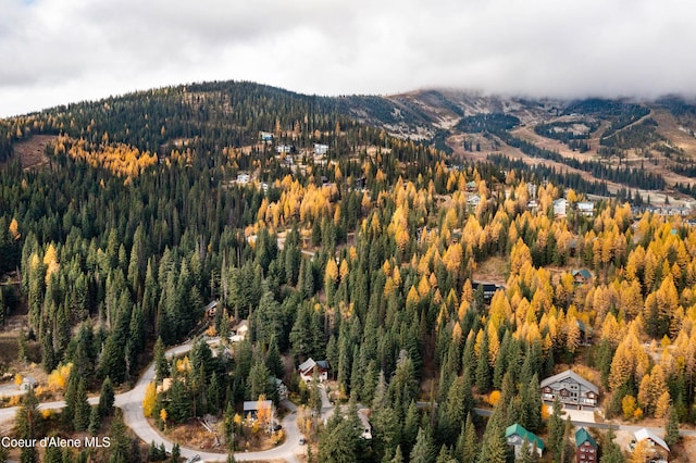 296 Ullr Dr, Sandpoint, ID 83864 - bird's eye view featuring a mountain view and a wooded view