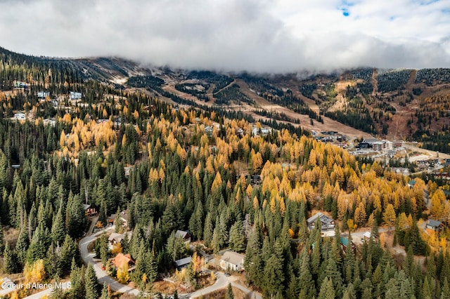 296 Ullr Dr, Sandpoint, ID 83864 - birds eye view of property featuring a forest view and a mountain view