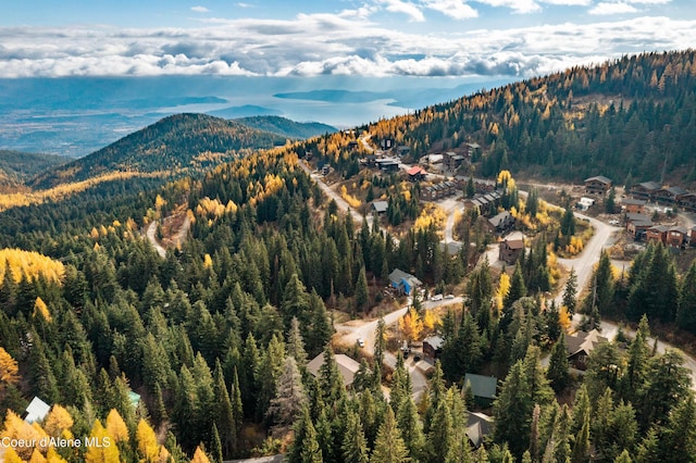 296 Ullr Dr, Sandpoint, ID 83864 - mountain view featuring a forest view