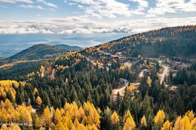 296 Ullr Dr, Sandpoint, ID 83864 - view of mountain feature featuring a forest view
