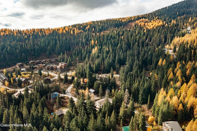 296 Ullr Dr, Sandpoint, ID 83864 - mountain view featuring a forest view