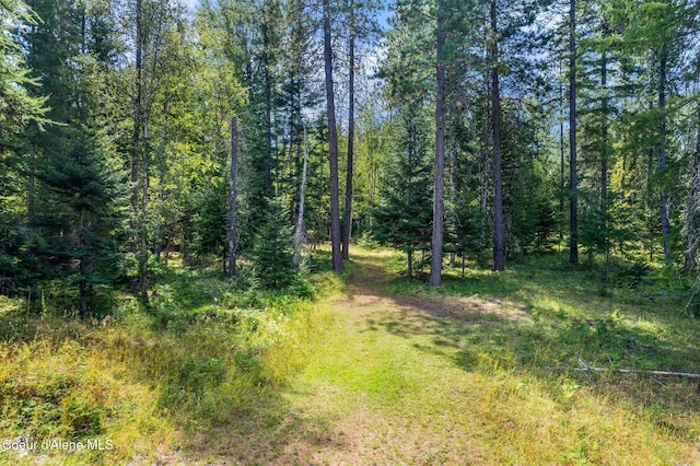 Listing photo 2 for NKA Selkirk Rd, Sandpoint ID 83864