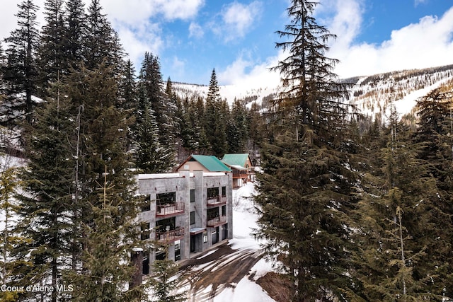 view of snow covered property