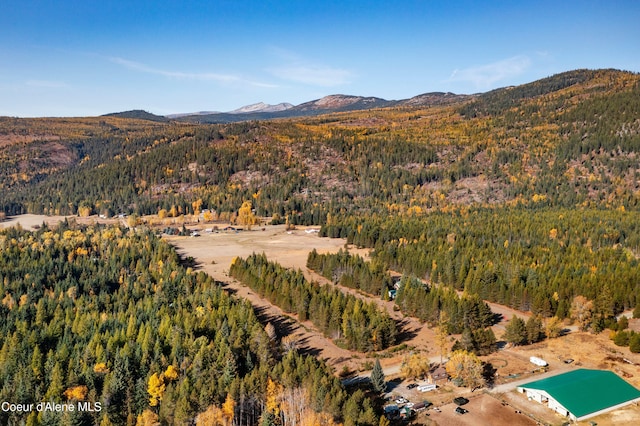 drone / aerial view featuring a mountain view