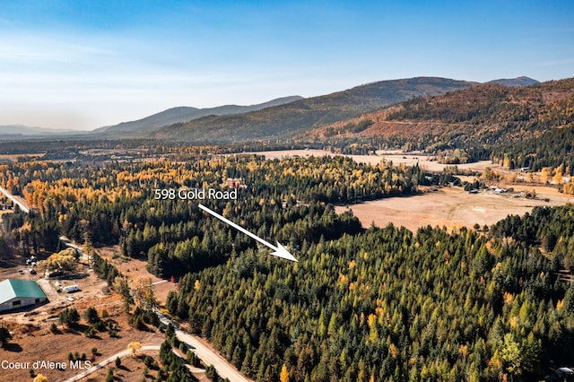 birds eye view of property with a mountain view