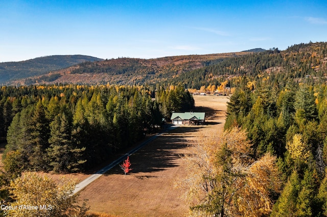 view of mountain feature