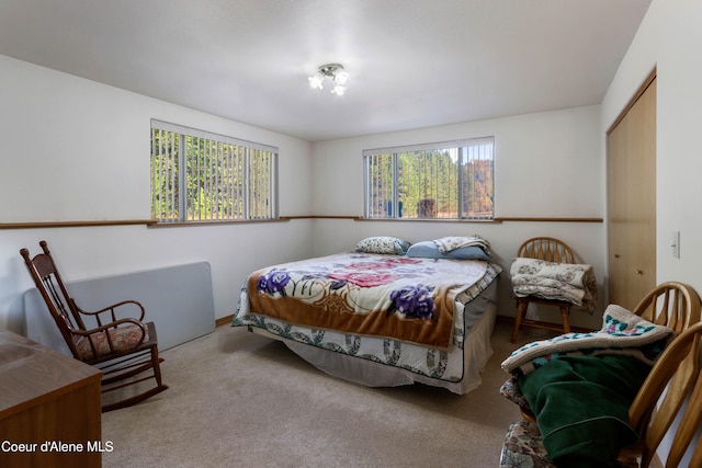 carpeted bedroom with multiple windows and a closet