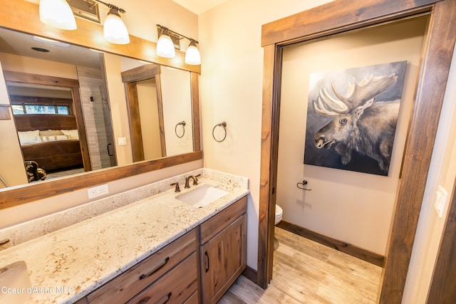 bathroom with hardwood / wood-style flooring, vanity, and toilet