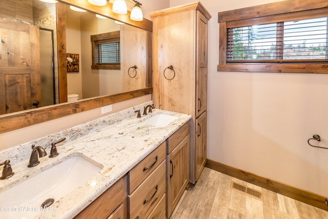 bathroom featuring hardwood / wood-style floors, vanity, and toilet