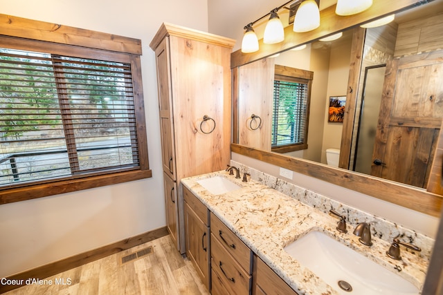 bathroom with walk in shower, vanity, hardwood / wood-style flooring, and a healthy amount of sunlight