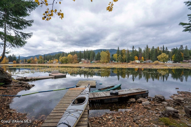 dock area with a water and mountain view