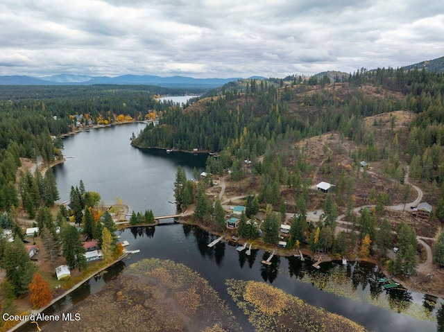 drone / aerial view with a water and mountain view