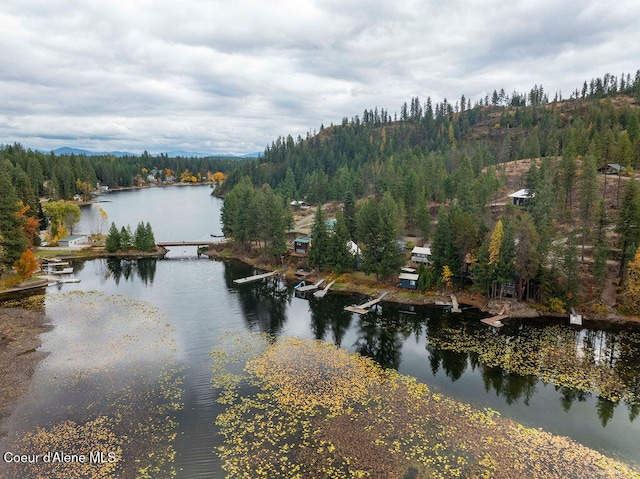 property view of water