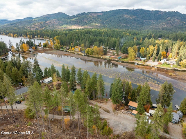 drone / aerial view with a water and mountain view