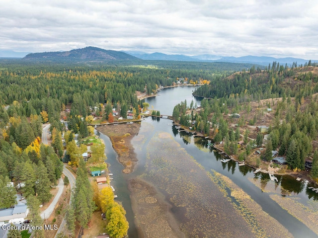 birds eye view of property featuring a water and mountain view