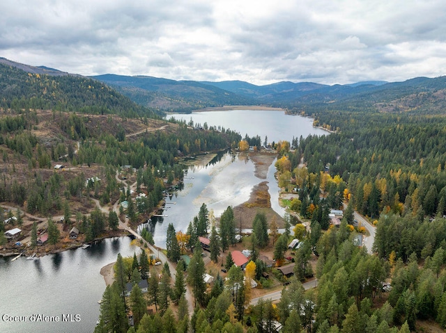 birds eye view of property featuring a water and mountain view