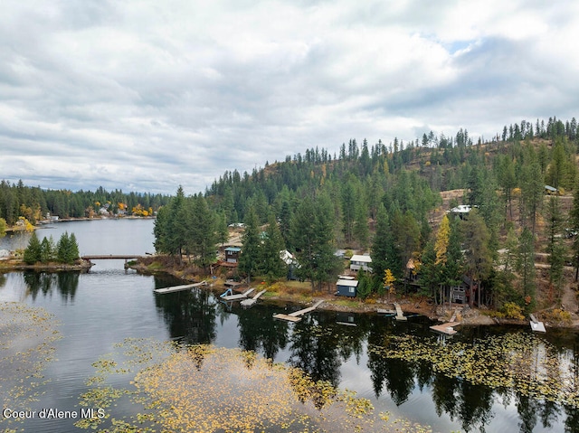 property view of water