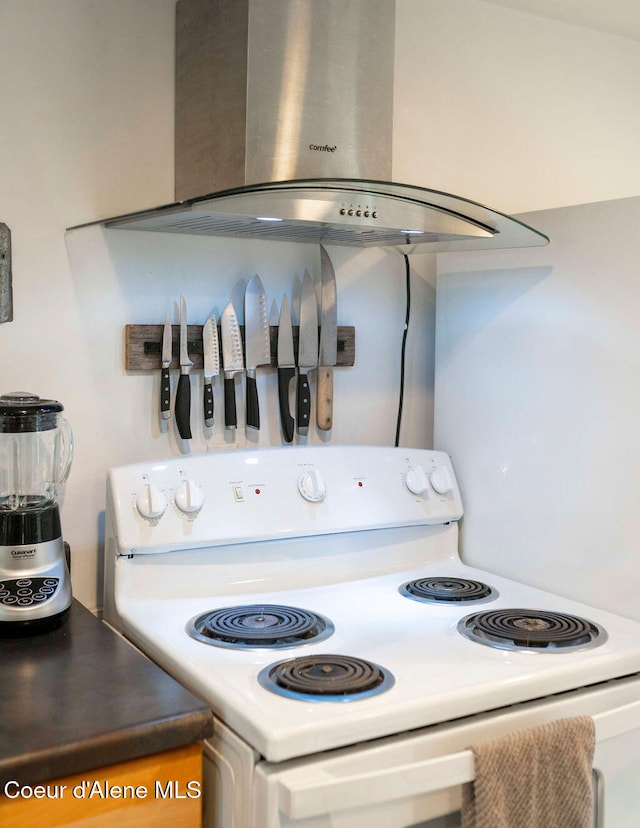 kitchen with range hood and white electric stove