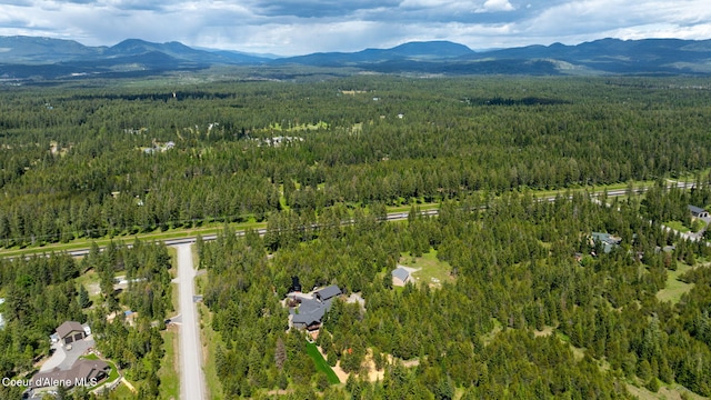 birds eye view of property with a mountain view